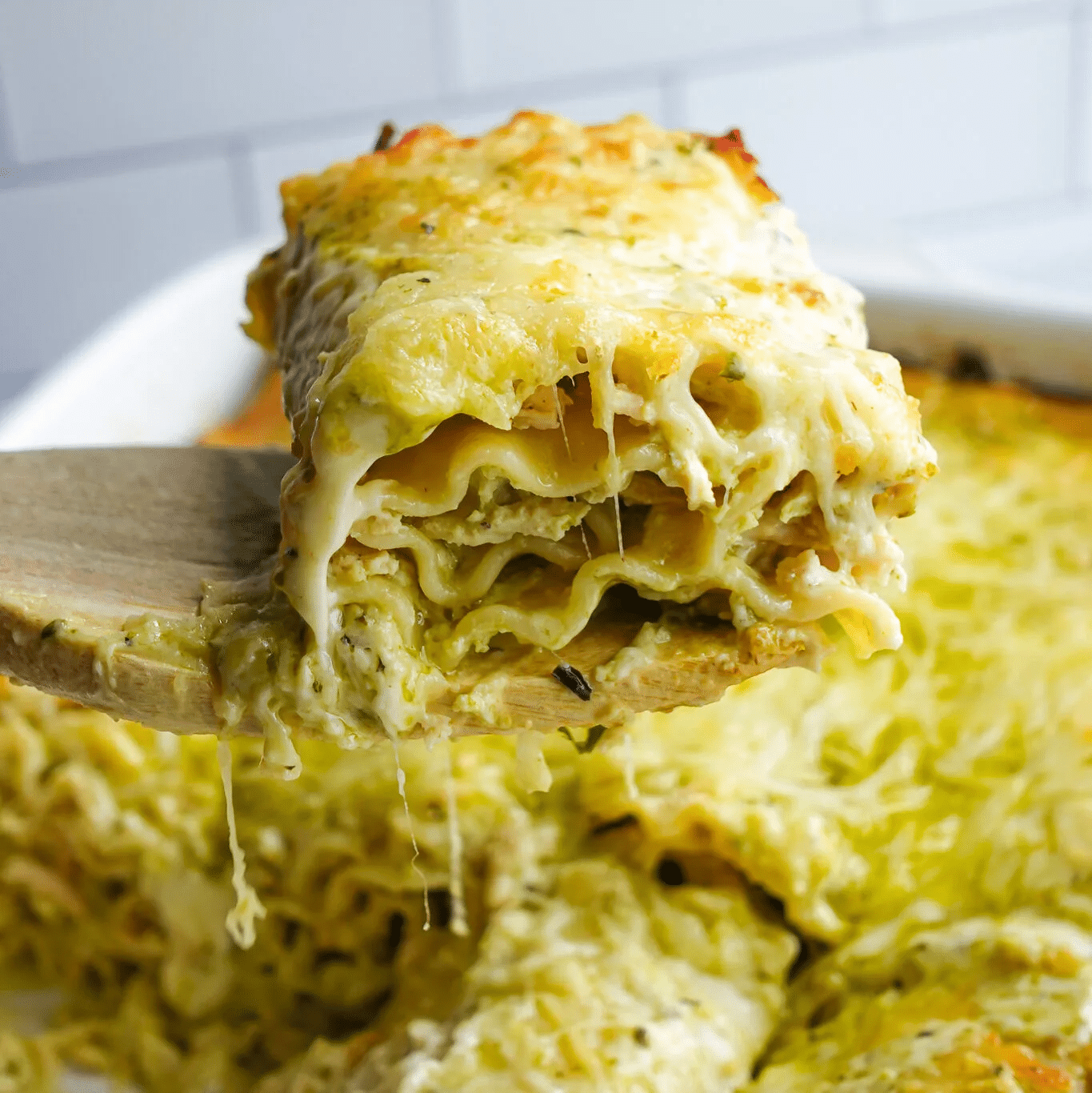 Creamy Chicken Pesto Lasagna Roll Ups Recipe