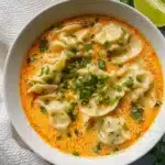 Delicious Curry Dumpling Soup Recipe