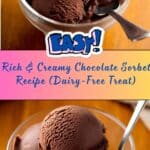 Chocolate Sorbet Recipe