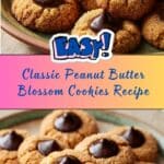 Blossom Cookies Recipe