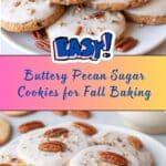 Pecan Sugar Cookies Recipe