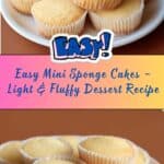 Mini Sponge Cake Recipe
