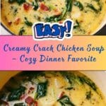 Creamy Crack Chicken Soup Recipe