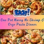 One Pot Marry Me Shrimp and Orzo Pasta Recipe