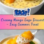 Mango Sago Recipe