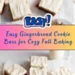Easy Gingerbread Cookie Bars Recipe