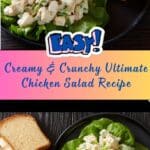 Ultimate Chicken Salad Recipe