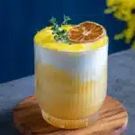 Orange Bourbon Sour Recipe