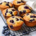 Blueberry Applesauce Muffins Recipe