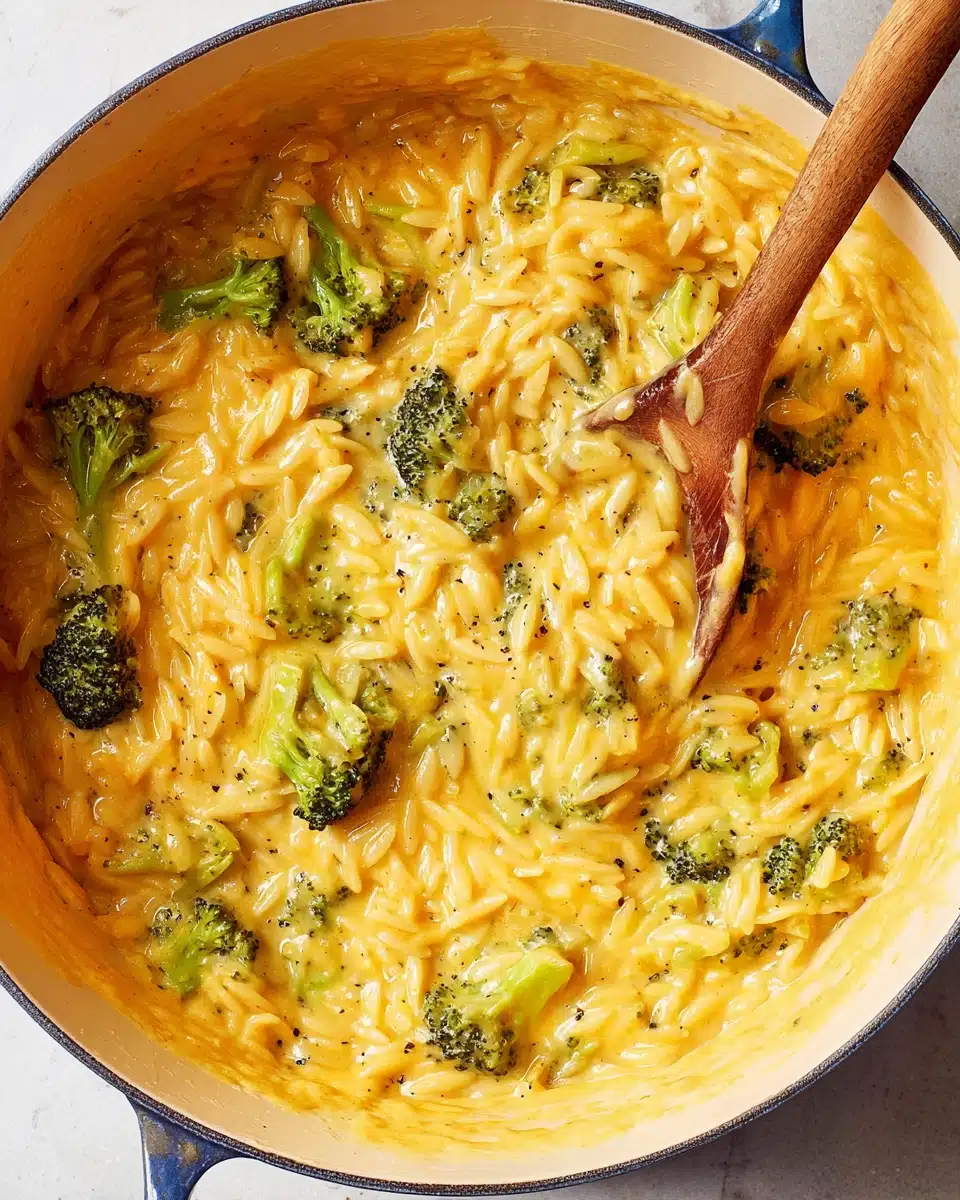 Creamy Broccoli Cheddar Orzo Recipe