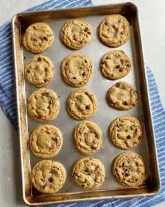 The Best Cinnamon Chip Pumpkin Cookies Recipe