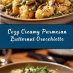 Creamy Parmesan Orecchiette with Butternut Squash and Broccolini Recipe