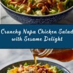 Napa Chicken Salad with Sesame Dressing Recipe