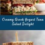 Greek Yogurt Tuna Salad Recipe