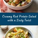 Red Potato Salad Recipe