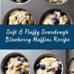 Sourdough Blueberry Muffins Recipe