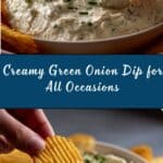 Green onion dip recipe