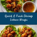 Shrimp Lettuce Wraps Recipe