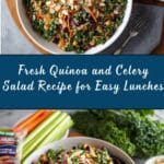 Quinoa and Celery Salad Recipe