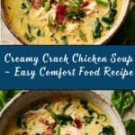 Creamy Crack Chicken Soup Recipe