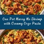One Pot Marry Me Shrimp and Orzo Pasta Recipe