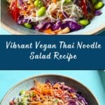 Vegan Thai Noodle Salad with Peanut Dressing Recipe