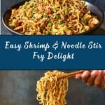 Shrimp and Noodle Stir Fry Recipe