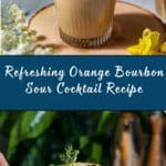 Orange Bourbon Sour Recipe