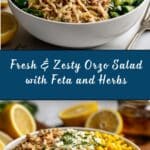 Zippy Orzo Summer Salad Recipe