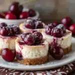 Mini Cranberry Cheesecakes Recipe