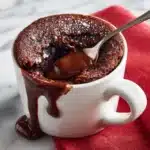 Chocolate Mug Cake Recipe