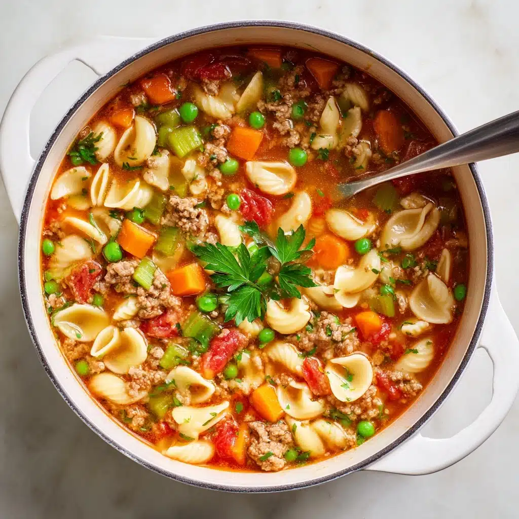 Beef and Macaroni Soup Recipe