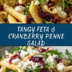 Feta & Cranberry Penne Salad with Orange Vinaigrette Recipe