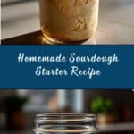 Sourdough Starter Recipe