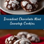 Chocolate Mint Snowtop Cookies Recipe