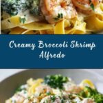 Broccoli Shrimp Alfredo Recipe