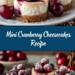 Mini Cranberry Cheesecakes Recipe