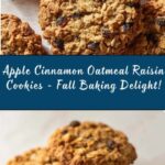 Apple Cinnamon Oatmeal Raisin Cookies Recipe