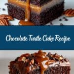 Chocolate Turtle Cake Recipe