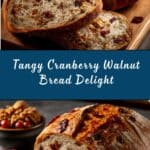 Cranberry Walnut Bread Recipe