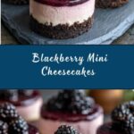 Blackberry Mini Cheesecakes Recipe