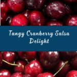 Sweet and Spicy Cranberry Salsa Recipe