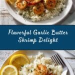 Garlic Butter Shrimp Recipe