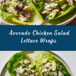 Avocado Chicken Salad Lettuce Wraps Recipe
