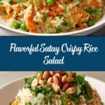 Satay Crispy Rice Salad Recipe