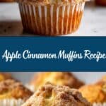 Apple Cinnamon Muffins Recipe