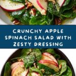 Apple Spinach Salad with Honey-Mustard Lemon Dressing Recipe