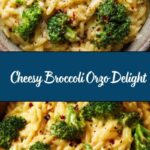 Creamy Broccoli Cheddar Orzo Recipe