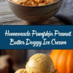 Pumpkin Peanut Butter Doggy Ice Cream Recipe