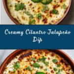 Cilantro Jalapeño Dip Recipe